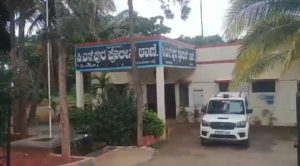 Datamer ai, money Scam, online Scam,