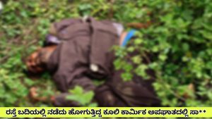 Turuvekere: ರಸ್ತೆ ಅಪಘಾತದಲ್ಲಿ 38 ವರ್ಷದ ಸುರೇಶ್ ಎಂಬ ವ್ಯಕ್ತಿ ಸಾ**.