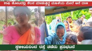 Hassan:ಕಾಡಾನೆ ದಾಳಿಗೆ ಕಾರ್ಮಿಕ ಮಹಿಳೆ ಬ*ಲಿ.