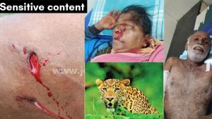 Turuvekere: ಕೂದಲೆಳೆ ಅಂತರದಲ್ಲಿ ಚಿರತೆ ದಾಳಿಯಿಂದ ತಹಶೀಲ್ದಾರ್ ಹಾಗೂ ಸಿಬ್ಬಂದಿ ಪಾರು.