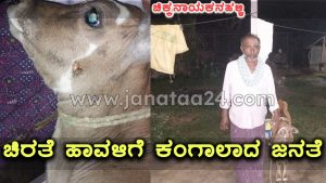 CN Halli: People in Thimmanahalli, Ramanahalli, and Hanumanthanahalli are worried about the leopard threat.