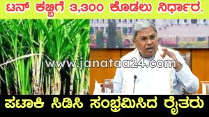 Sugarcane price fixed at Rs 3,300 per tonne, announces CM Siddaramaiah