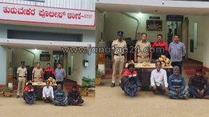 Turuvekere: Thieves who were stealing sandalwood trees arrested.