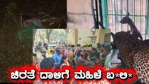 Turuvekere: Woman killed in leopard attack