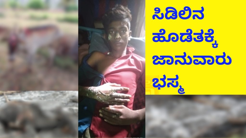 Pavagada tumkurnews Cow animals are burnt alive by lightning strike