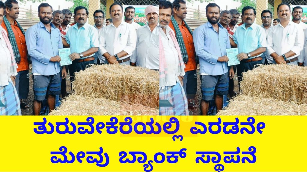 Taluk administration opened second fodder bank for cattle in Turuvekere taluk 1