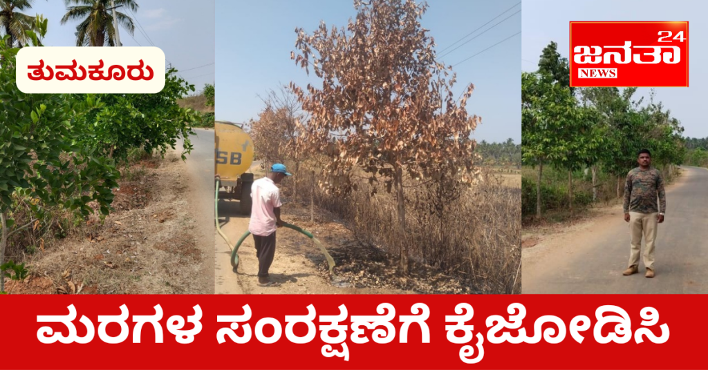 The Forest Department has come forward to plant roadside saplings for environmental protection